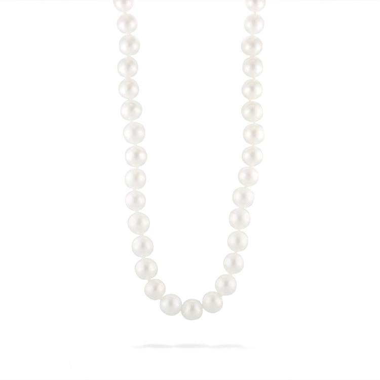 White Freshwater Pearl Choker