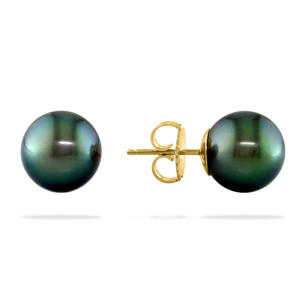 12243 - 14K Yellow Gold - Tahitian Black Pearl Stud Earrings