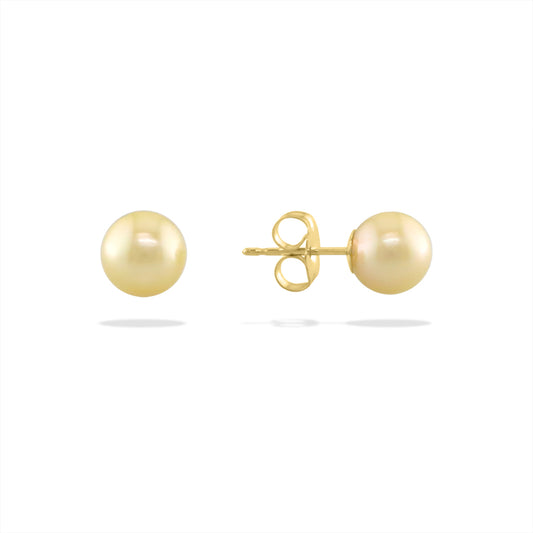 91011 - 14K Yellow Gold - Golden Akoya Pearl Stud Earrings