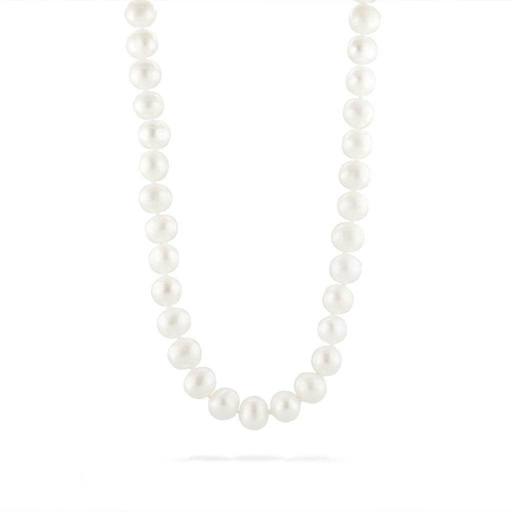 766913 - 14K Yellow Gold - White Freshwater Pearl Choker