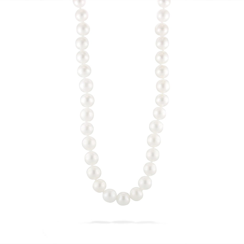 766918 - 14K Yellow Gold - White Freshwater Pearl Choker