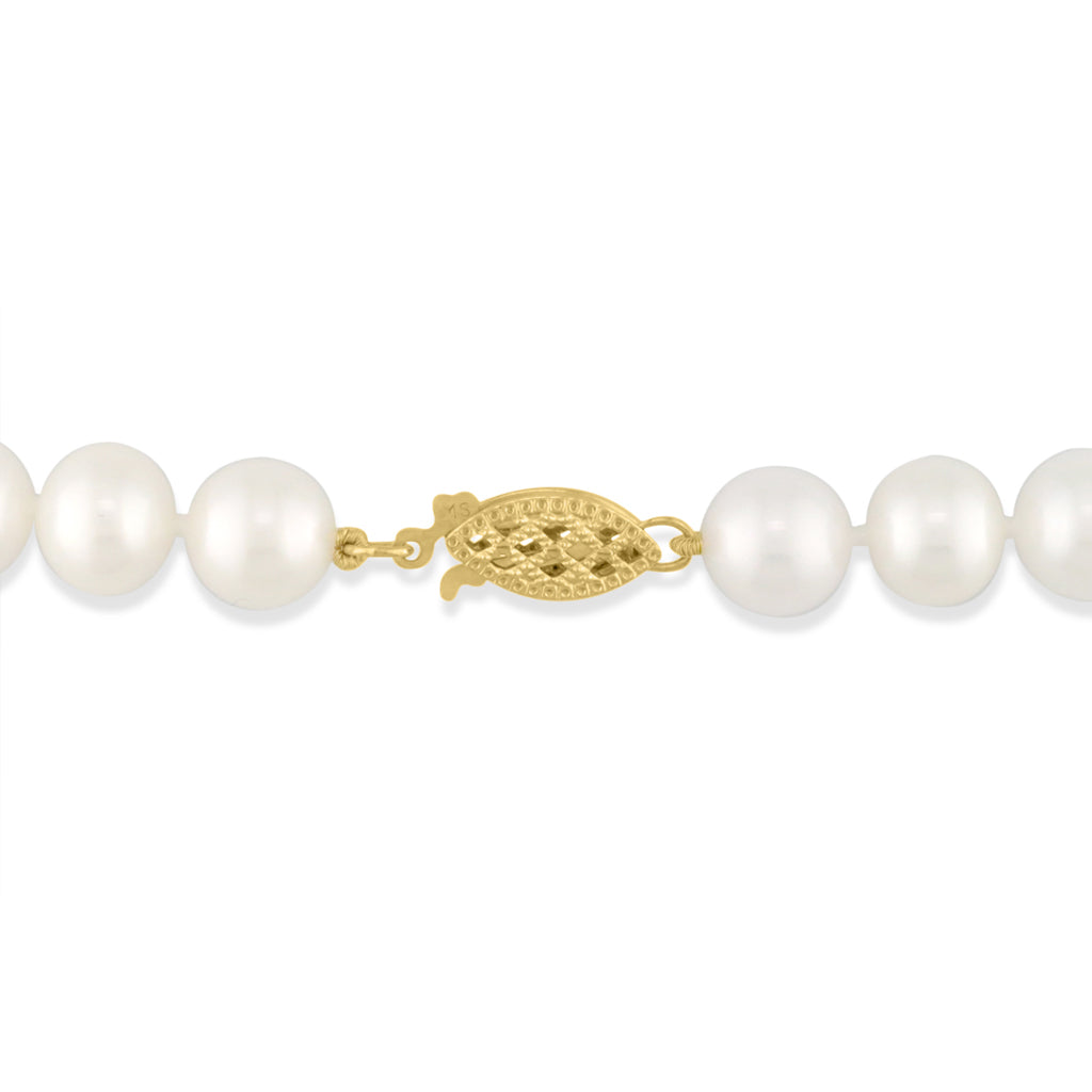 766918 - 14K Yellow Gold - White Freshwater Pearl Choker