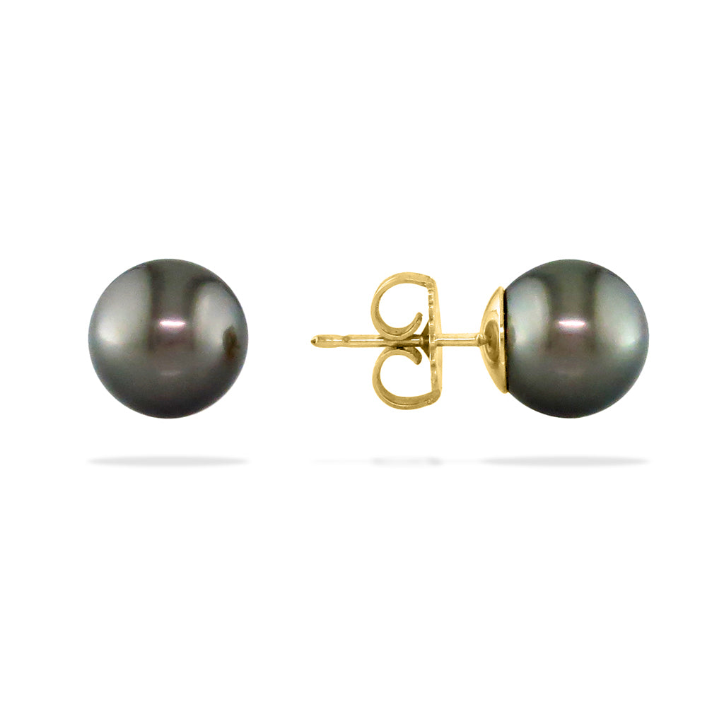 11329 - 14K Yellow Gold - Tahitian Black Pearl Stud Earrings