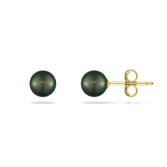 14243 - 14K Yellow Gold - Peacock Akoya Pearl Stud Earrings